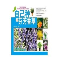 自己种芬芳香草（全彩）