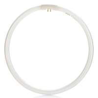 佛山照明T5环形荧光灯FC32W/865白光 2支装