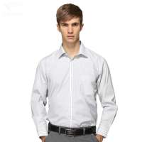 HODO红豆相思鸟男装男士正装条纹长袖衬衫HDXC13112(G19绿条39)