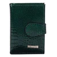 Cater 卡特古道尔 摁扣式卡包-名片包 6269-1# 蓝色