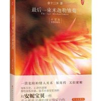 最后一束米迦勒雏菊