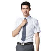 HODO红豆男装商务休闲修身条纹短袖衬衫ECS32002(B05蓝色165/84A)