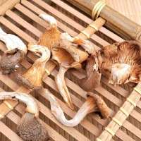 佳品堂 真姬菇 150g