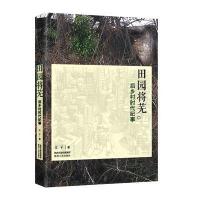 田园将芜：后乡村时代纪事