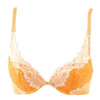 金丰田金丰田花边文胸桔色(75B)J6027