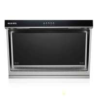 樱雪油烟机CXW-218-H1219W(G)