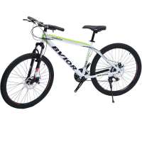 BVIOR百威尔 26寸山地自行车2013款碟刹版迈腾M530 21级变速珠白叶脉绿