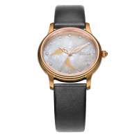 飞亚达IF系列女士手表DL573.PC絮黑