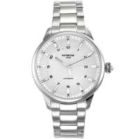 尼维达NIVADA时尚休闲自动机械机芯钢带男士手表GM8006-101011