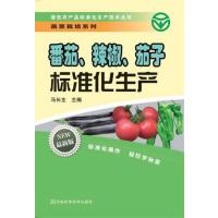 番茄、辣椒、茄子标准化生产