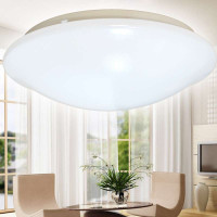 爱迪欧LED吸顶灯全白  10W