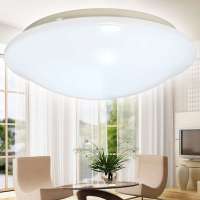 爱迪欧LED吸顶灯全白  15W