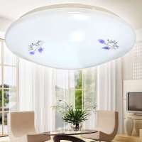 爱迪欧LED吸顶灯百合  15W