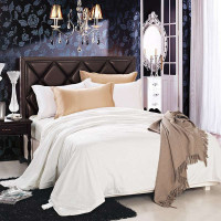 堂皇家纺/TEVEL 春秋季全棉提花100%桑蚕丝被子 熙雅桑蚕丝被(春秋)1.8米床