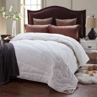 小绵羊 优丝 馨丝绒蚕丝冬被 白 200*230