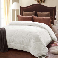 小绵羊 纯臻 新西兰纯羊毛冬被 白 200*230