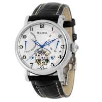 海鸥多功能自动精钢机械表819.316