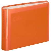 齐心SC60 i color系列60枚可变背脊名片册二段十格 橙色