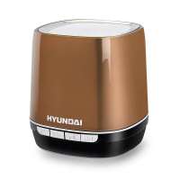 现代蓝牙音箱 i80(香槟金)