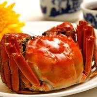 常合牌 正宗阳澄湖大闸蟹868型8只装