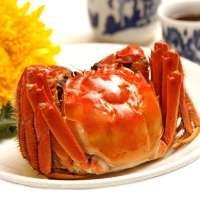 阳澄好记 大闸蟹礼券3688元型八只装(公蟹6.0两母蟹4.0两)