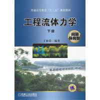 工程流体力学（下册）（问题导向型）