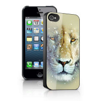 中博华瑞3D保护壳iphone5手机壳X5-397