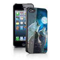 中博华瑞3D保护壳iphone5手机壳X5-432