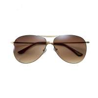 Inmix音米男款时尚炫彩墨镜 1186  茶色渐变