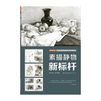 国美格调-素描静物新标杆