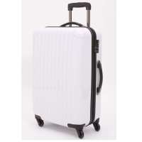 丹仪进口ABS+PC拉链箱DY-8121 24 奶油白DY-8121 24