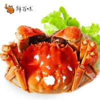 鲜百味阳澄湖大闸蟹(礼券628型)