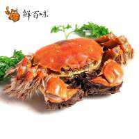 鲜百味阳澄湖大闸蟹(礼券1688型)