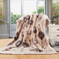 迎馨 拉舍尔毛毯子单双人加厚双层超柔秋冬季绒毯150*200cm 真爱