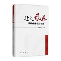 迁徙风暴：城镇化建设启示录