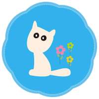 家博士水电分离热水袋暖水袋JBS-N005-5湖蓝猫