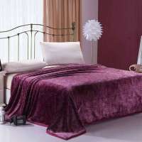 lifehome超柔加厚云貂绒毯 紫魅妖姬