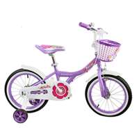 永久 儿童自行车漂亮宝贝16寸紫色