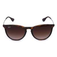 雷朋(Ray-Ban)RB4171 865/13 54mm 玳瑁色注塑镜架茶色渐变太阳镜