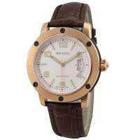 海鸥表SeaGull 基础系列自动机械男表 219.331(金D)