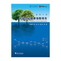 2013中国企业健康指数报告