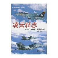 经典战史回眸·兵器系列:凌云壮志