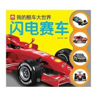 我的酷车大世界闪电赛车