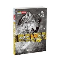 HELLO大自然:海啸中飞翔的狗黄色温暖卷