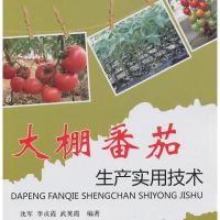 大棚番茄生产实用技术