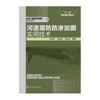 水利工程除险加固技术丛书:河道堤防防渗加固实用技术