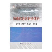 济南岩溶水系统研究