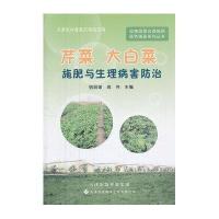 芹菜大白菜施肥与生理病害防治