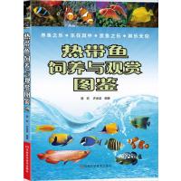 热带鱼饲养与观赏图鉴