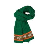 THANTRUE真享 韩版情侣针织围巾 秋冬季保暖长毛线 男士羊毛羊绒围脖 N067 绿色